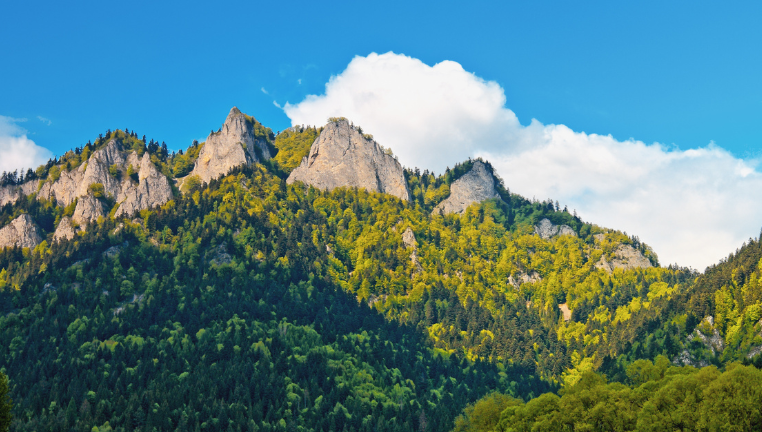 Wycieczka w Pieniny Krajobraz Pienin